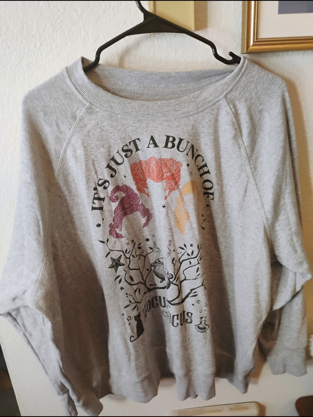 Disney Light Gray Hocus Pocus Pullover